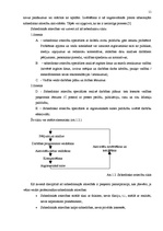 Referāts 'Sabiedrisko attiecību būtība un modeļi', 11.