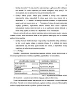 Referāts 'Sabiedrisko attiecību būtība un modeļi', 13.