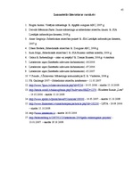 Referāts 'Sabiedrisko attiecību būtība un modeļi', 45.