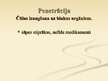 Prezentācija 'Gremošanas sistēmas ķirurģija', 53.