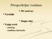 Prezentācija 'Gremošanas sistēmas ķirurģija', 61.