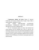 Referāts '3-aminopropānsulfonskābju betaīni', 3.