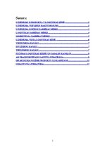 Referāts 'Uzņēmuma raksturojums loģistikas ķēdē', 1.