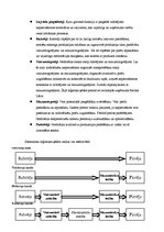 Referāts 'Uzņēmuma raksturojums loģistikas ķēdē', 7.
