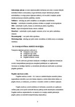 Referāts 'Uzņēmuma raksturojums loģistikas ķēdē', 9.