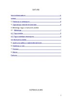 Biznesa plāns 'Biznesa plāns, kultūras projekts "Māja"', 2.