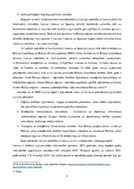 Referāts 'Sadarbība starp Latvijas un kaimiņvalstu reģioniem', 9.