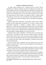 Referāts 'Senās Romas galvenie attīstības periodi', 11.