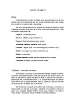 Konspekts 'Raiņa lugas "Uguns un nakts" cēlienu konspekts', 1.