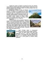 Referāts 'Austrijas ģeogrāfija', 20.