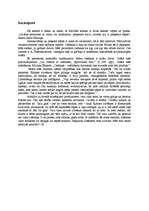 Referāts 'Ciešanas un to jēga', 8.