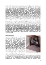 Referāts 'Soliņš ar jumtiņu', 6.