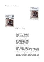 Referāts 'Soliņš ar jumtiņu', 11.