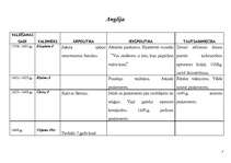 Konspekts 'Francijas, Anglijas, Krievijas, Austrijas ārpolitika, iekšpolitika, valdnieki, t', 3.