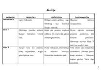 Konspekts 'Francijas, Anglijas, Krievijas, Austrijas ārpolitika, iekšpolitika, valdnieki, t', 6.