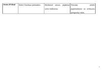 Konspekts 'Francijas, Anglijas, Krievijas, Austrijas ārpolitika, iekšpolitika, valdnieki, t', 7.