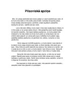 Eseja 'Pilsoniskā apziņa', 1.