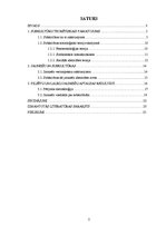 Referāts 'Subkultūras pilsētu un lauku jauniešu skatījumā', 2.