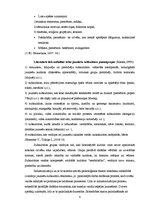 Referāts 'Subkultūras pilsētu un lauku jauniešu skatījumā', 8.