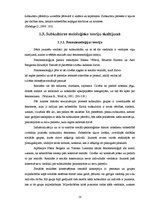 Referāts 'Subkultūras pilsētu un lauku jauniešu skatījumā', 10.