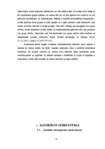 Referāts 'Subkultūras pilsētu un lauku jauniešu skatījumā', 13.