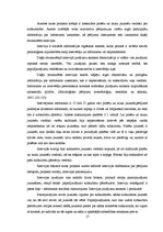 Referāts 'Subkultūras pilsētu un lauku jauniešu skatījumā', 17.