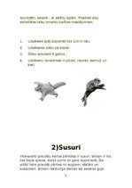 Referāts 'Aizsargājamie grauzēji Latvijā', 5.