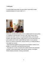 Referāts 'Sociālais aprūpes centrs "Mēmele" - sociālo pakalpojumu sniedzējs cilvēkiem ar g', 12.