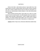 Diplomdarbs 'Perifrāze Vergilija poēmā "Eneīda"', 2.