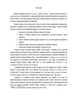 Diplomdarbs 'Perifrāze Vergilija poēmā "Eneīda"', 7.