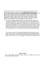 Referāts 'Renesanse Nīderlandē', 7.