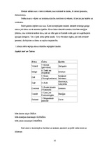 Referāts 'Krāsas, to nozīme un ietekme uz cilvēku', 14.