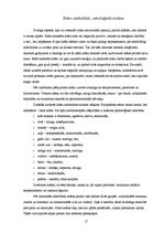 Referāts 'Krāsas, to nozīme un ietekme uz cilvēku', 17.