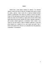 Referāts 'Pirmā iespaida veidošanās par uzņēmumu', 2.