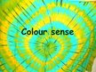 Prezentācija 'Colour Sense', 1.