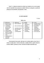 Biznesa plāns 'Biznesa plāns', 10.