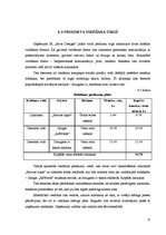 Biznesa plāns 'Biznesa plāns', 12.