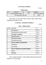 Biznesa plāns 'Biznesa plāns', 19.