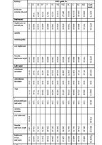 Biznesa plāns 'Biznesa plāns', 21.