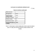 Biznesa plāns 'Biznesa plāns', 24.