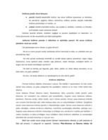 Eseja 'Kultūru atšķirības, stereotipi', 2.