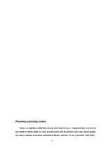 Referāts 'Mārketinga plāns', 8.