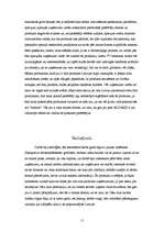 Referāts 'Mārketinga plāns', 11.