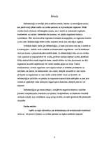 Referāts 'Refleksoloģija un tās ietekme uz cilvēka organismu', 3.