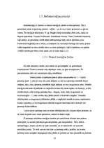 Referāts 'Refleksoloģija un tās ietekme uz cilvēka organismu', 13.