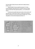 Referāts 'Refleksoloģija un tās ietekme uz cilvēka organismu', 16.