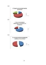 Referāts 'Refleksoloģija un tās ietekme uz cilvēka organismu', 21.