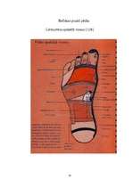 Referāts 'Refleksoloģija un tās ietekme uz cilvēka organismu', 25.