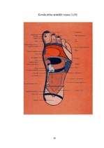 Referāts 'Refleksoloģija un tās ietekme uz cilvēka organismu', 26.