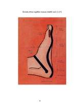 Referāts 'Refleksoloģija un tās ietekme uz cilvēka organismu', 32.